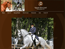 Tablet Screenshot of horsesofspain.com